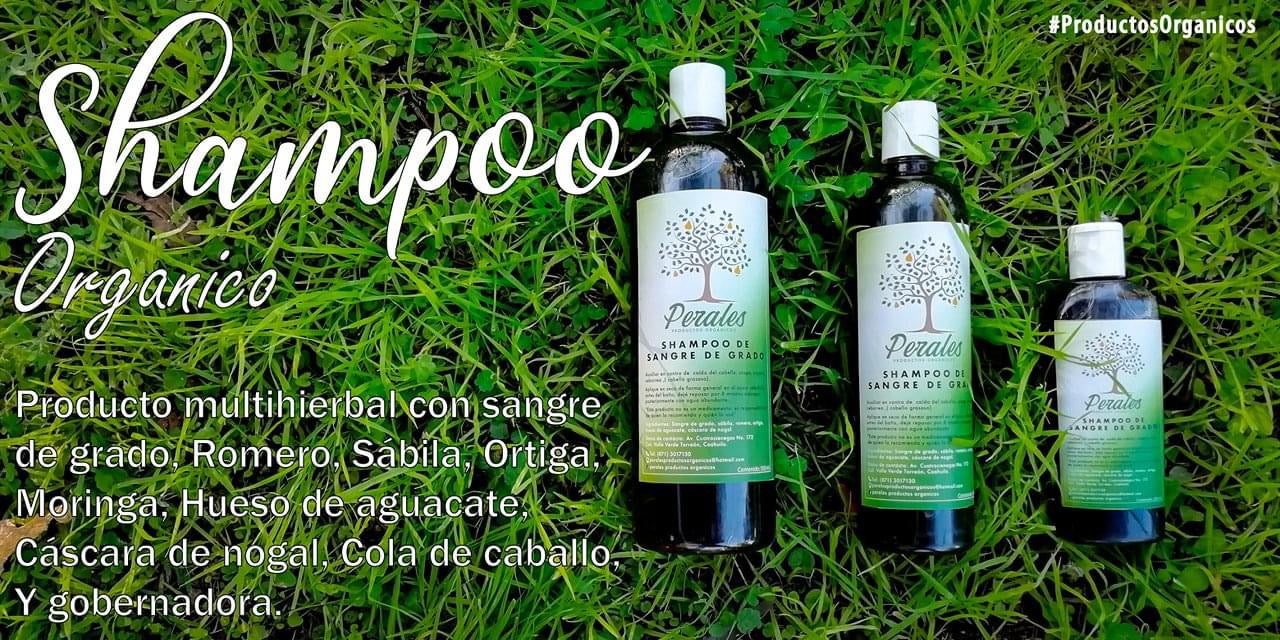 shampoo anticaida 1 litro